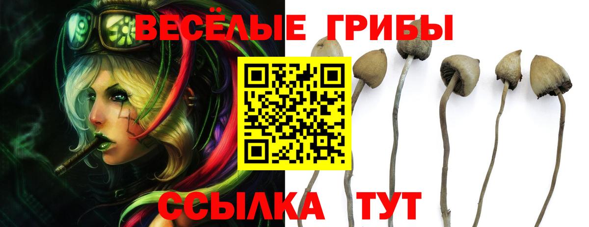 Галлюциногенные грибы прущие грибы Улан-Удэ